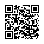 ������ʧ����