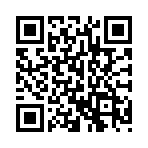 ������ʧ����