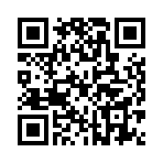 ������˫