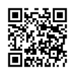 ������˫