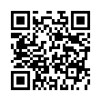 ������˫