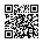 ������˫