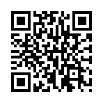 ������˫С���ͳ����