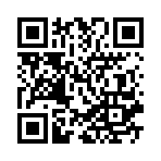 ������˫