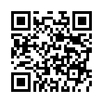 ������˫