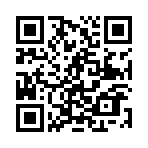 ������˫