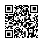 ������˫