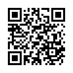 ������˫