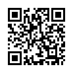 ������˫