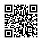 ������˫