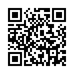 ������˫