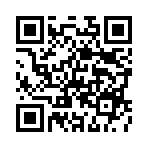 ������˫