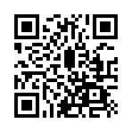 ������˫