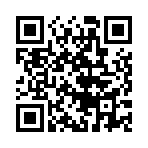 ������˫