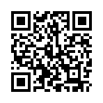 ������˵