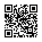 ������˵