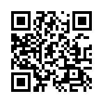 ������˵