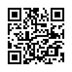 ������˵