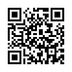 ������˵