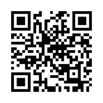 ������˵