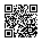 ������˵