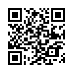 ������˵