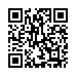 ������Ϯ