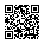 ������Ҷ�0.1�۵�¼��4SR