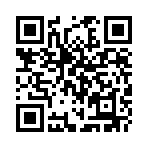 ������Է���ѡ