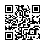 �������ñ��������