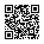 �������ʦ