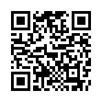 �������ʦ