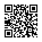 �������ʦ