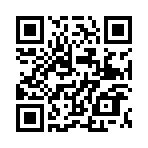 �������ʦ