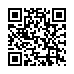 �������ʦ