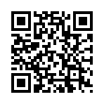 �������ʦ