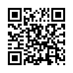 ��������˫