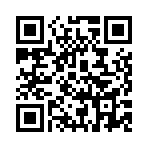 ��������˫