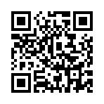 ��������˫