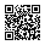 ��������˫