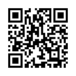 ��������˫