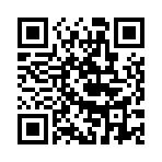 ��������˫