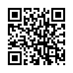 ������������Ȩ����