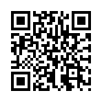 ������������ͳ��