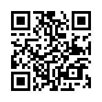 ������Է���ѡ