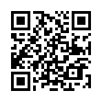 ʧ��������