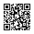 С�ײ����������