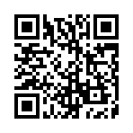 �ʶ���������������