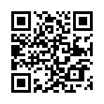 �궷�������޺��