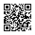 ������˫